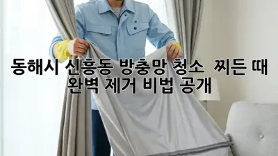 동해시 신흥동 방충망 청소 ✨ 찌든 때 완벽 제거 비법 공개!