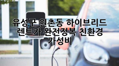 유성구 원촌동 하이브리드 렌트카🚗 완전정복! #친환경 #가성비